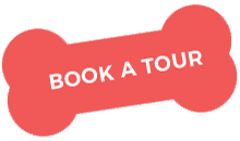 https://agropec.com.pt/wp-content/uploads/2019/08/book_a_tour.png