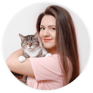Gatos